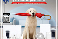 ALLAS - protecția pe care te poți baza