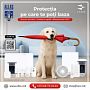 ALLAS - protecția pe care te poți baza